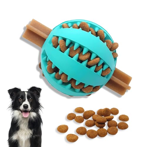 Interactive Treat Dispenser Dog Toy Ball | Medium