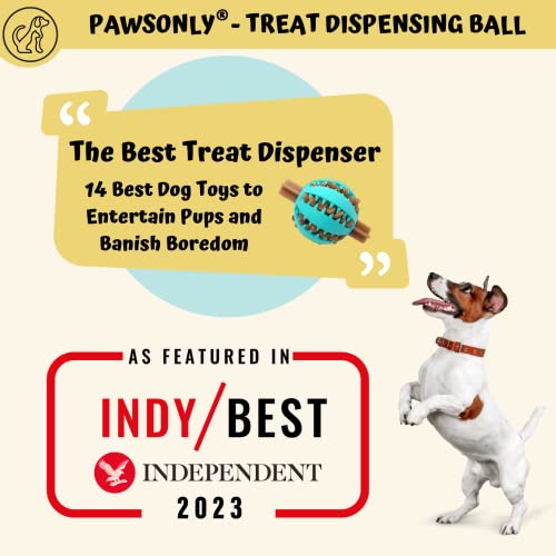 Interactive Treat Dispenser Dog Toy Ball | Medium