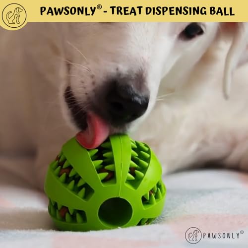 Interactive Treat Dispenser Dog Toy Ball | Medium