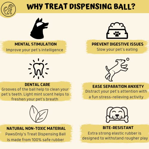 Interactive Treat Dispenser Dog Toy Ball | Medium