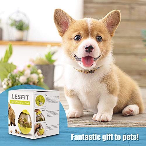 Lesfit Dog Food Ball, Interactive Treat Dispenser