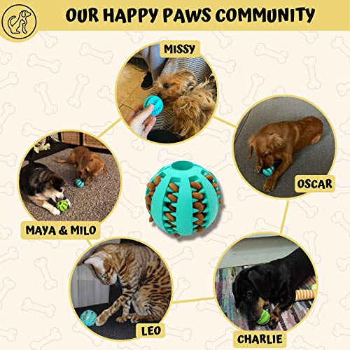 Interactive Treat Dispenser Dog Toy Ball | Medium