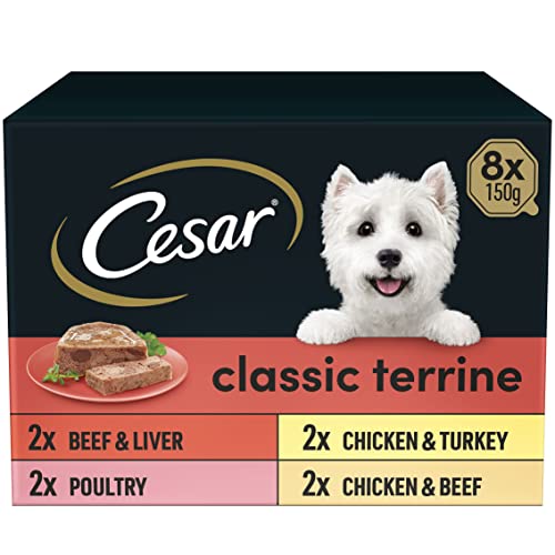 Cesar Classic Terrine in Jelly Dog Food, Mixed Selection