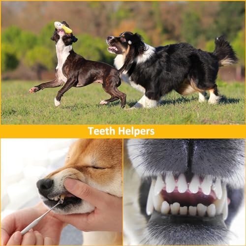 6-Pack Luxury Dog Squeaky Toys for Small-Medium Dogs