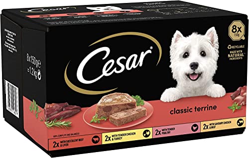 Cesar Classic Terrine in Jelly Dog Food, Mixed Selection