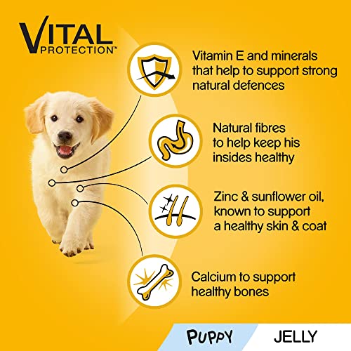 Pedigree Puppy Junior Wet Dog Food Pouches - Mixed Selection