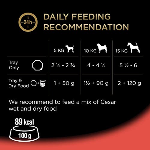 Cesar Classic Terrine in Jelly Dog Food, Mixed Selection