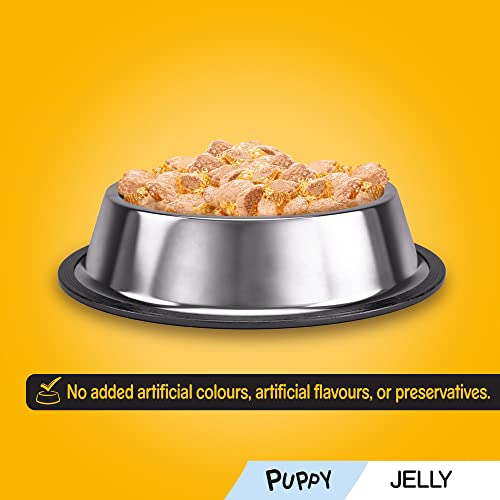Pedigree Puppy Junior Wet Dog Food Pouches - Mixed Selection