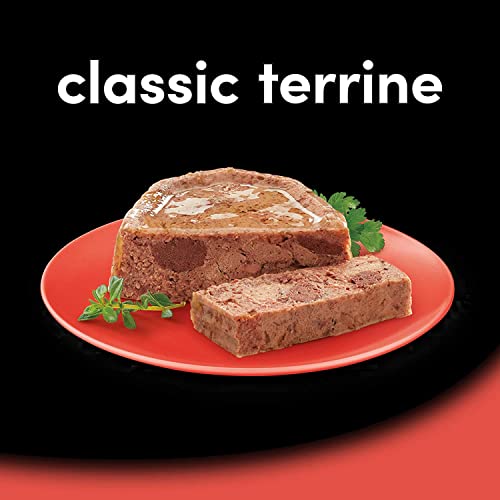 Cesar Classic Terrine in Jelly Dog Food, Mixed Selection