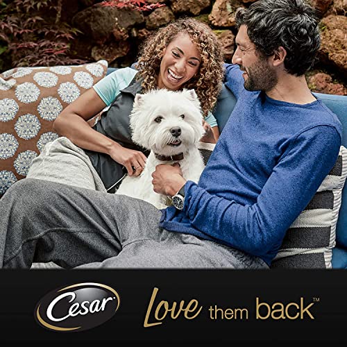 Cesar Classic Terrine in Jelly Dog Food, Mixed Selection