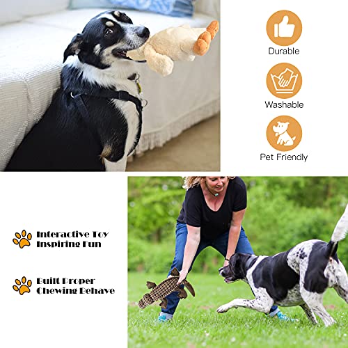 Durable Squeaky Dog Toys - 3 Pack