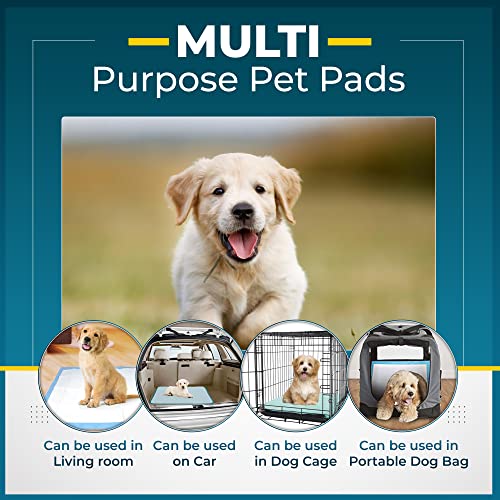 Large Size Puppy Pads: Super Absorbent, Leakproof & Odor-locking