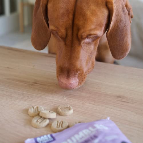 Scrumptious Calming Turkey Dog Treats, 100% Natural, 100g