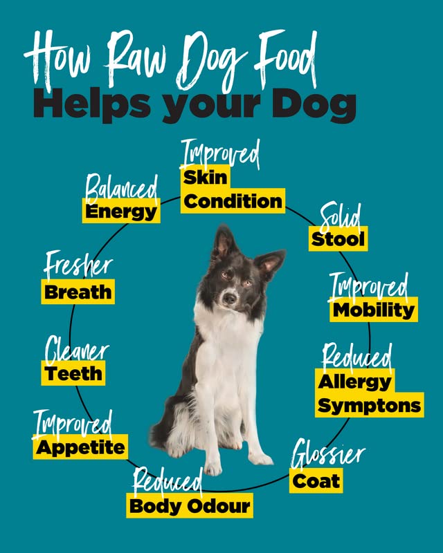 ProDog Raw Food Sample Packs | Gourmet, Human-Grade!