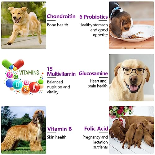 15-in-1 Dog Multivitamin for Hip, Coat, Gut, & Heart