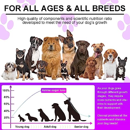 15-in-1 Dog Multivitamin for Hip, Coat, Gut, & Heart