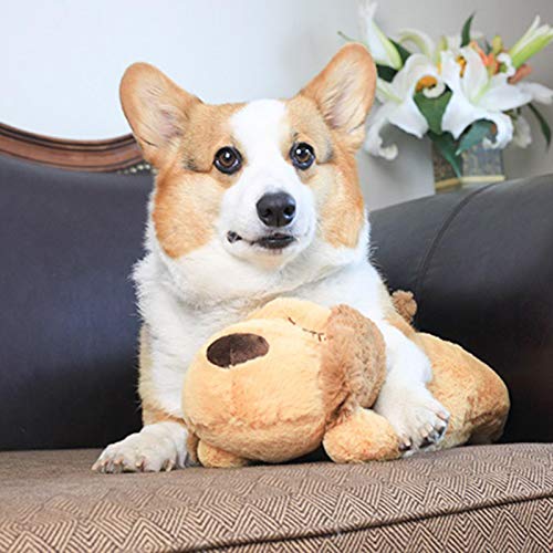 Heartbeat Plush Toy for Pet, Stress Relief for Dogs