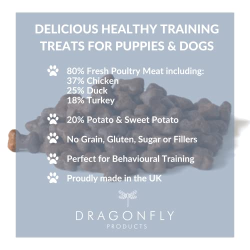 Dragonfly Grain Free Dog Training Treats | 1000 Treat Pack