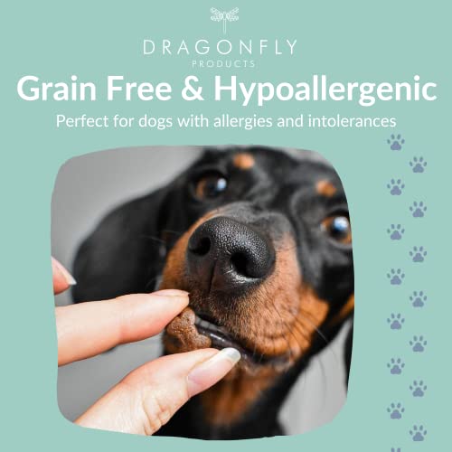 Dragonfly Grain Free Dog Training Treats | 1000 Treat Pack