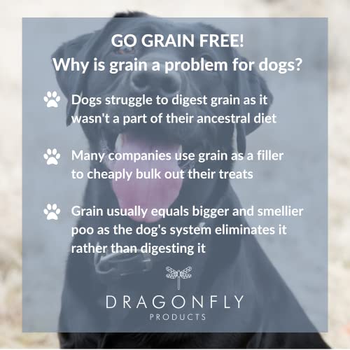 Dragonfly Grain Free Dog Training Treats | 1000 Treat Pack