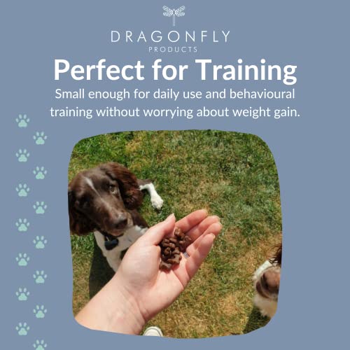 Dragonfly Grain Free Dog Training Treats | 1000 Treat Pack
