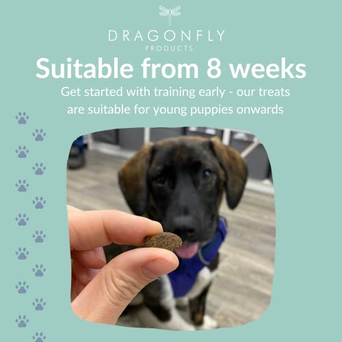 Dragonfly Grain Free Dog Training Treats | 1000 Treat Pack