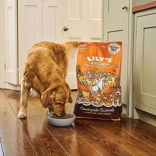 Lily's Kitchen Natural Adult Dog Food - Chicken & Duck Recipe