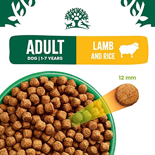 Lamb & Rice Adult Dog Food - 2kg