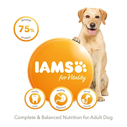 IAMS Adult Dog Food: Lamb, 12 kg
