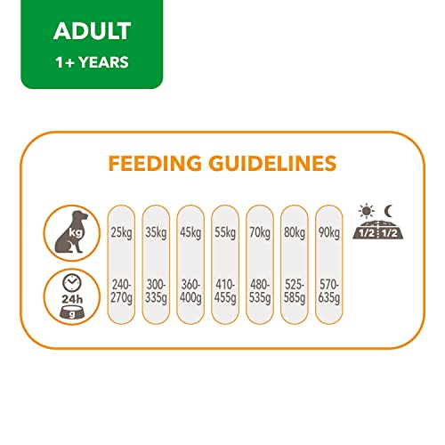 IAMS Adult Dog Food: Lamb, 12 kg