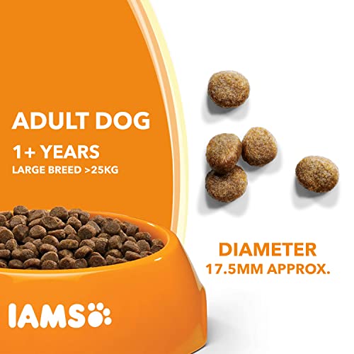 IAMS Adult Dog Food: Lamb, 12 kg