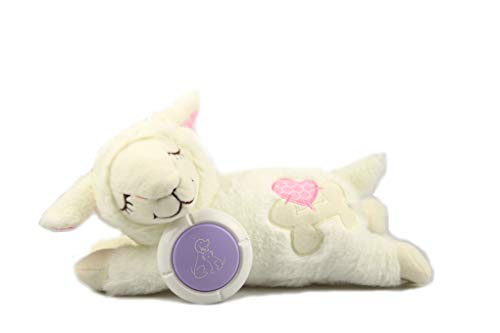 Heart Beat Puppy Behavioral Aid Toy
