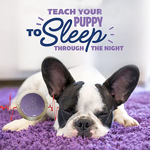 Heart Beat Puppy Behavioral Aid Toy