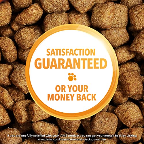IAMS Dog Food, Adult, Small/Medium Breeds, Lamb, 3kg