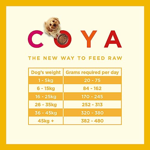 Hypoallergenic Freeze-Dried Raw Dog Food with Chicken (750g)