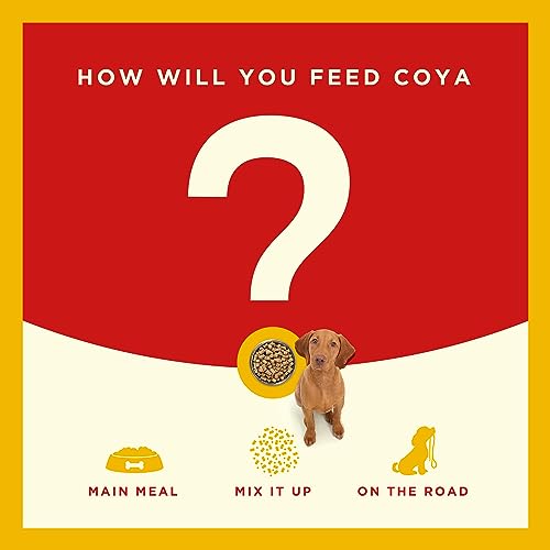 Hypoallergenic Freeze-Dried Raw Dog Food with Chicken (750g)