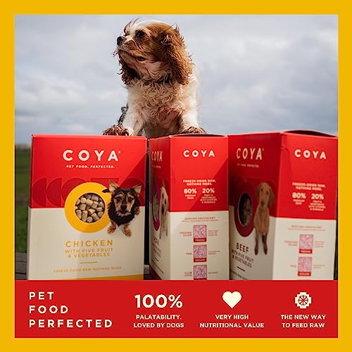 Hypoallergenic Freeze-Dried Raw Dog Food with Chicken (750g)