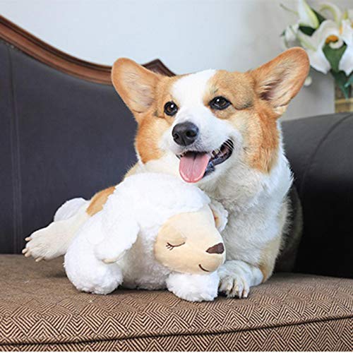 Heartbeat Plush Toy for Pet, Behavioral Training Aid