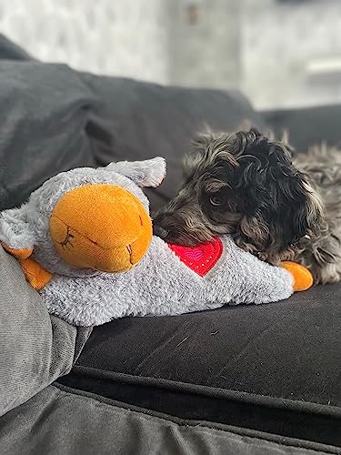 Heartbeat Dog Training Toy for Separation Anxiety Relief