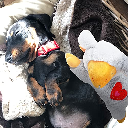 Heartbeat Dog Training Toy for Separation Anxiety Relief