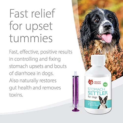 Natural Tummy Settler for Dogs - 100ml