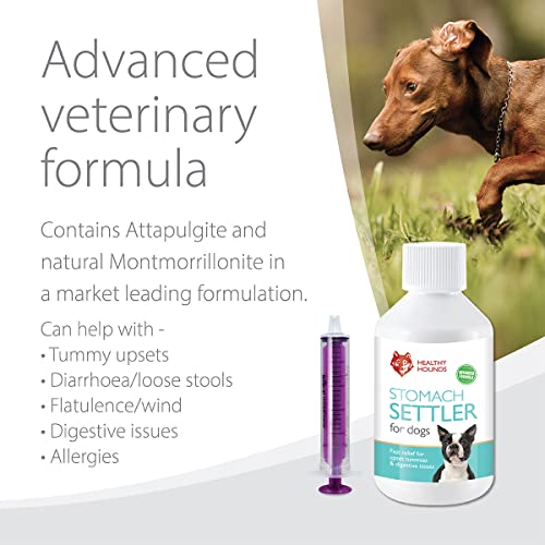 Natural Tummy Settler for Dogs - 100ml