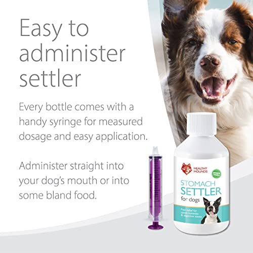 Natural Tummy Settler for Dogs - 100ml