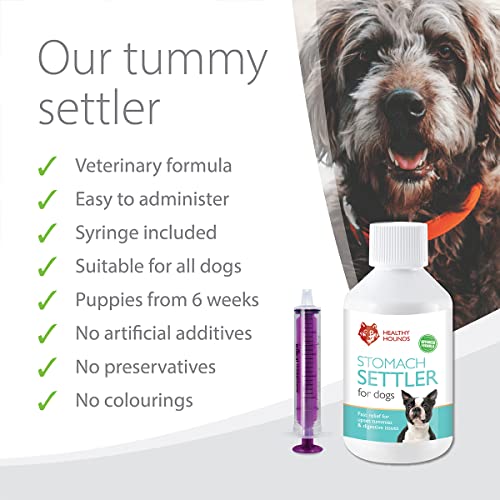 Natural Tummy Settler for Dogs - 100ml
