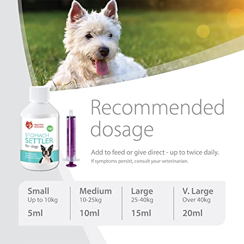 Natural Tummy Settler for Dogs - 100ml