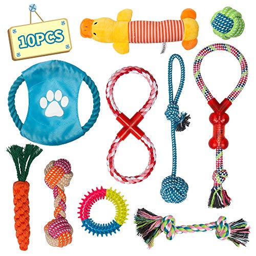 10Pcs Tough Dog Rope Toys for Small Puppies