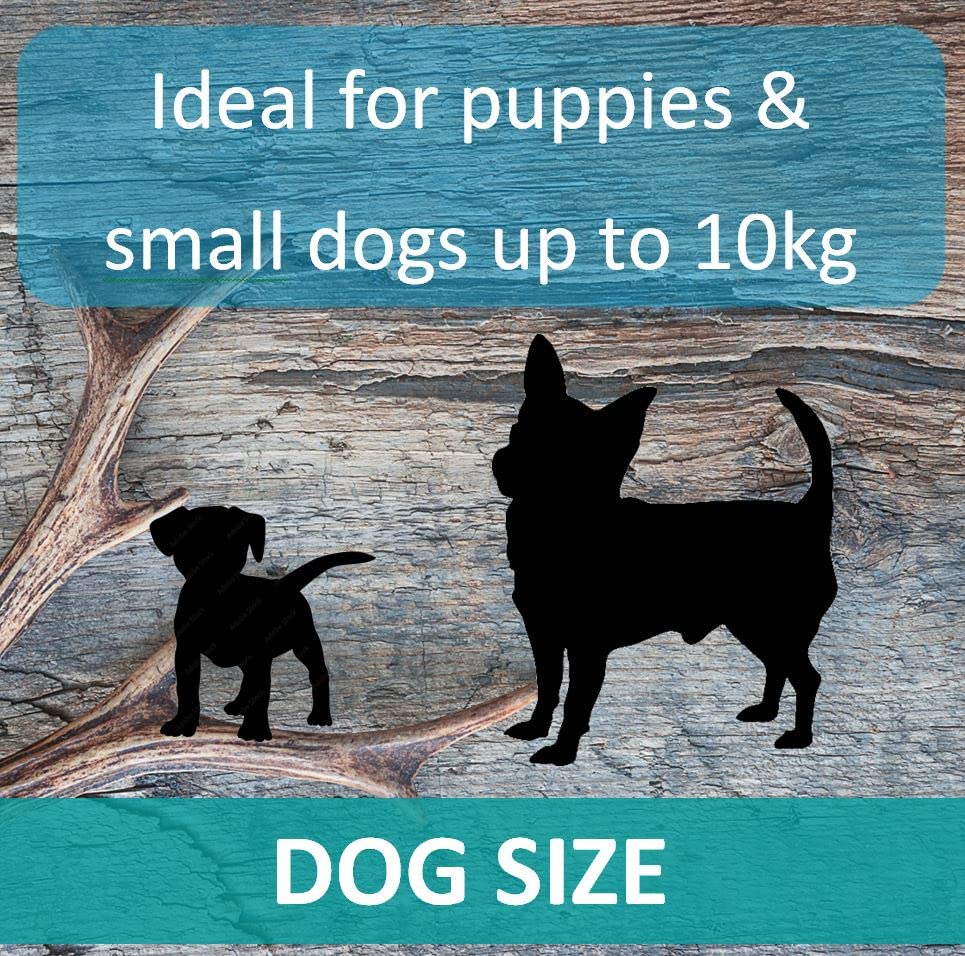Puppy Antler Chews - Sustainable, Naturally Shed, for Small Dogs