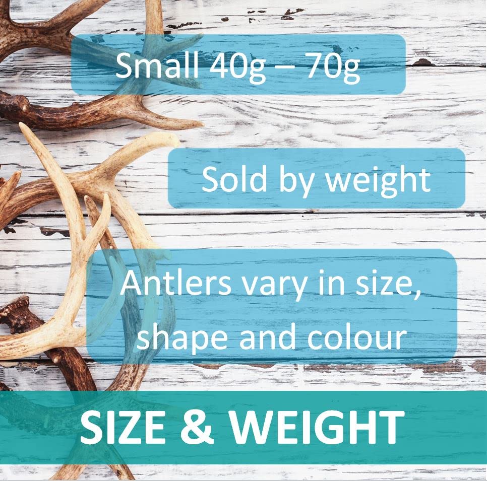 Puppy Antler Chews - Sustainable, Naturally Shed, for Small Dogs