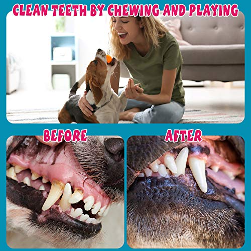 Indestructible Dog Rope Toys for Small Puppies