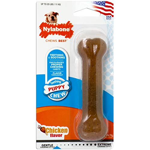 Nylabone Puppy Teething Toy, Chicken Flavour, Small